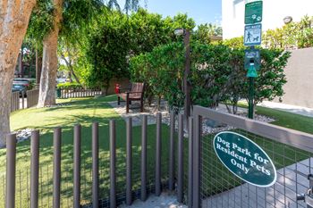 Dog park
